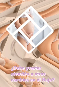 Mujeres embarazadas en ropa interior