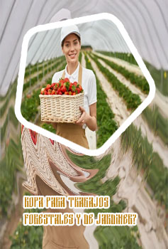 Ropa jardinero mujer